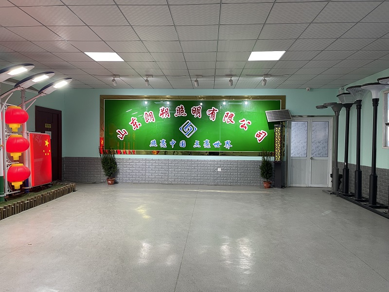 山东朗朔照明集团有限公司(图2) 山东朗朔照明集团有限公司(图2)