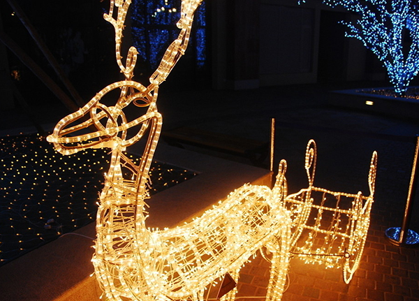 山东耀鼎光电科技有限公司